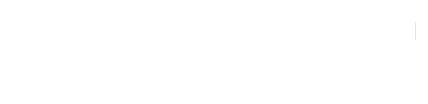Brother_logo_white